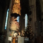 DSC02679